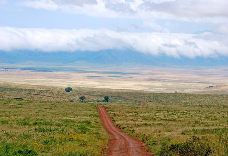 Cratère Ngorongor, Tanzanie | Au Tigre Vanillé