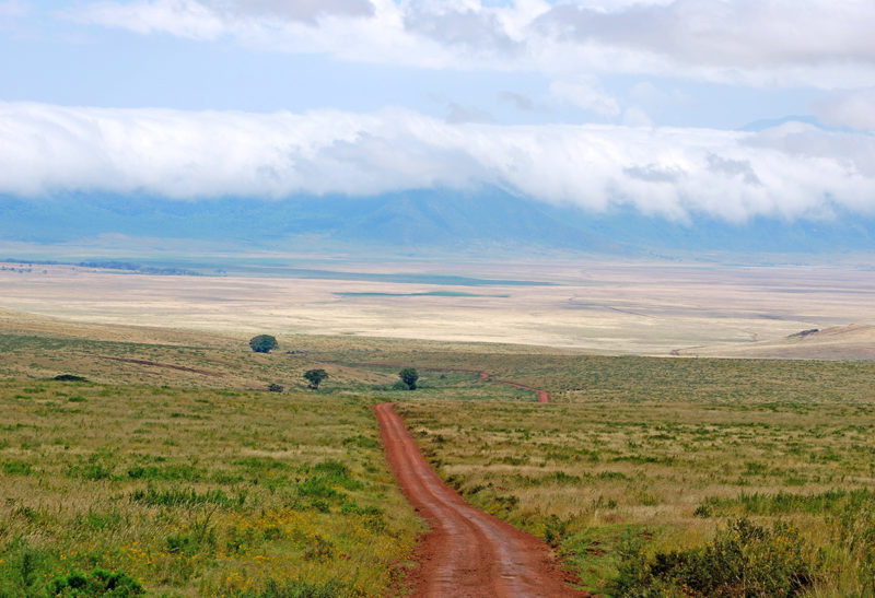 Cratère Ngorongor, Tanzanie | Au Tigre Vanillé Cratère Ngorongor, Tanzanie | Au Tigre Vanillé