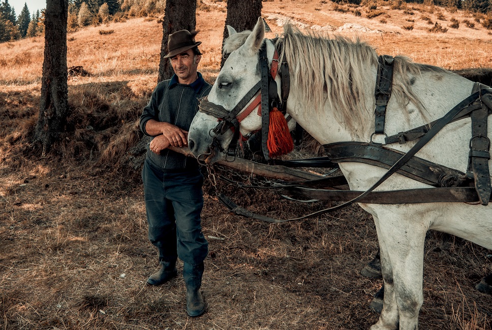 paysan-cheval-activites-maramures-roumanie Paysan et son cheval en Transylvanie - Roumanie | Au Tigre Vanillé