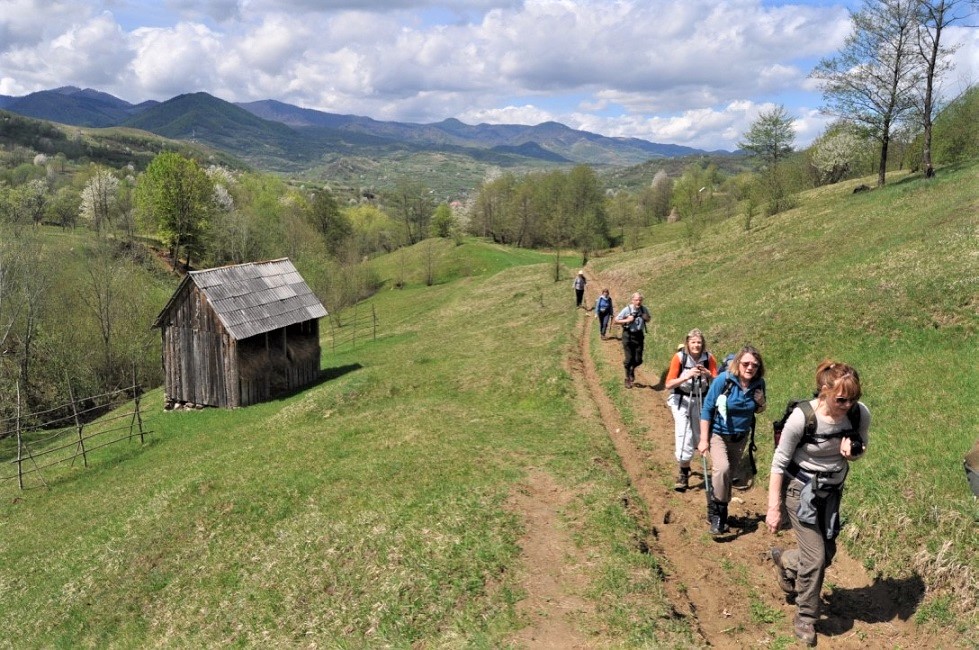 Groupe de randonneurs dans les montagnes des Maramures - Roumanie | Au Tigre Vanillé