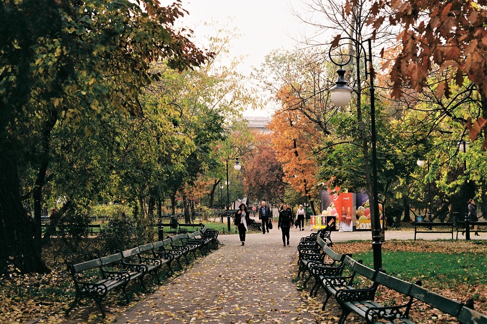 ville-pied-locaux-bucarest-roumanie Parc à Bucarest - Roumanie | Au Tigre Vanillé