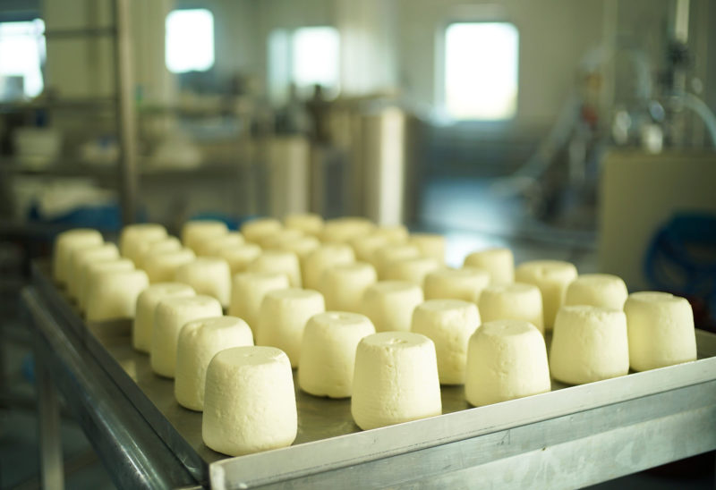 Visite d'une fromagerie, Mykonos, Grèce Visite d'une fromagerie, Mykonos - Grèce | Au Tigre Vanillé