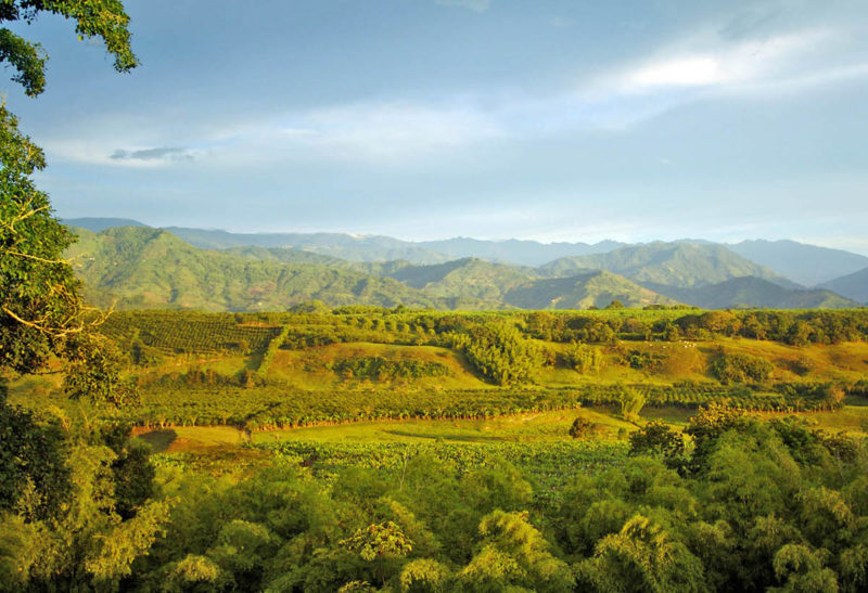 Paysages vers l'Hacienda Bambusa, Colombie | Au Tigre Vanillé