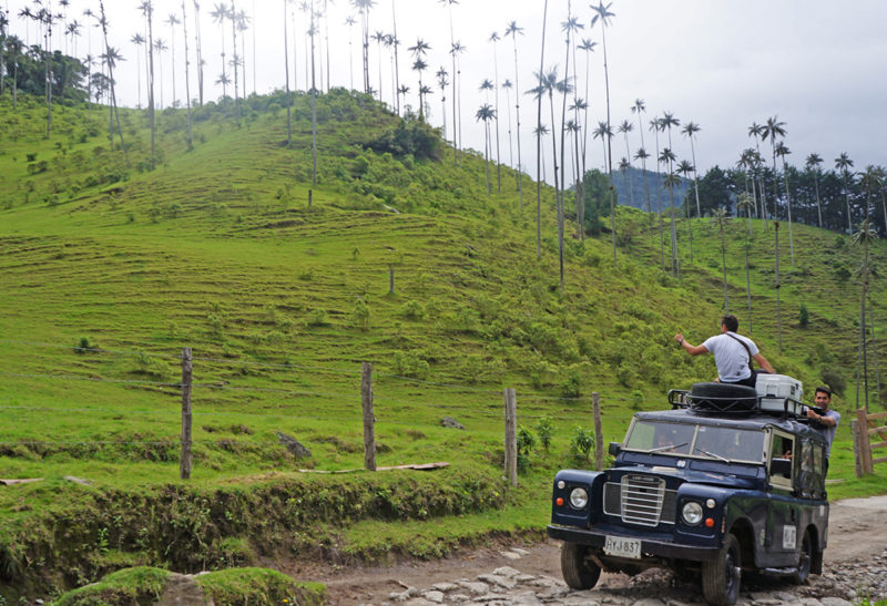 Colline avec palmiers à l'Hacienda Bambusa, Colombie | Au Tigre Vanillé