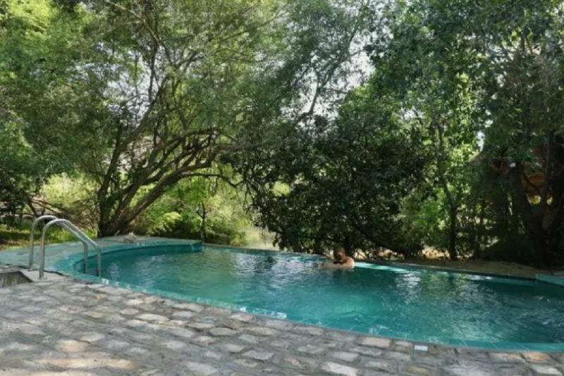 Piscine d'un lodge dans le parc national de Yala - Sri Lanka | Au Tigre Vanillé