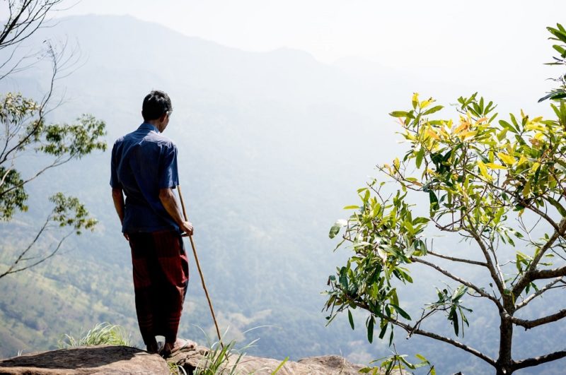 Homme qui regarde la vue sur le parc national de Gal Oya - Sri Lanka | Au Tigre Vanillé