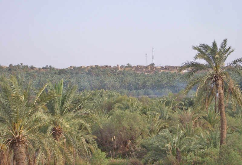 Palmeraie de Bahariyya, Egypte | Au Tigre Vanillé