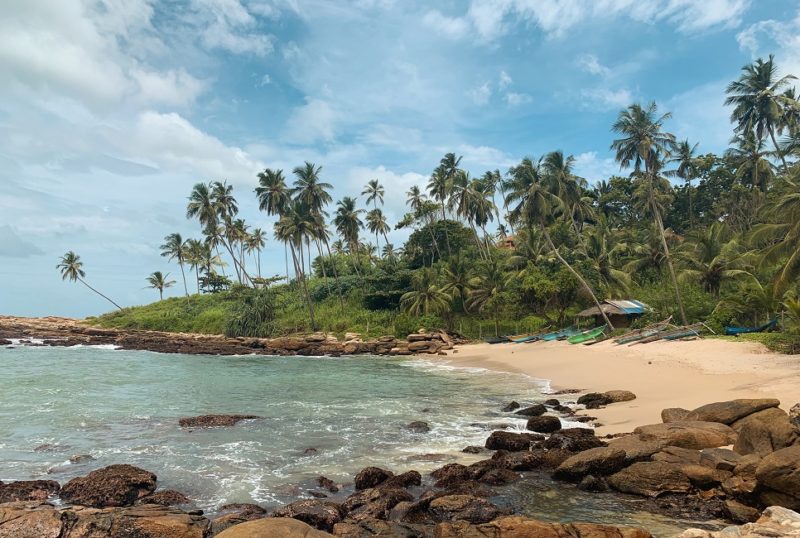 Plage de sable blanc et de palmiers - Sri Lanka | Au Tigre Vanillé