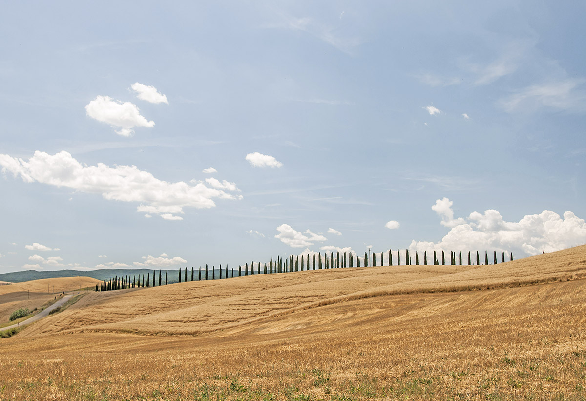 Champs, Toscane, Italie | Au Tigre Vanillé