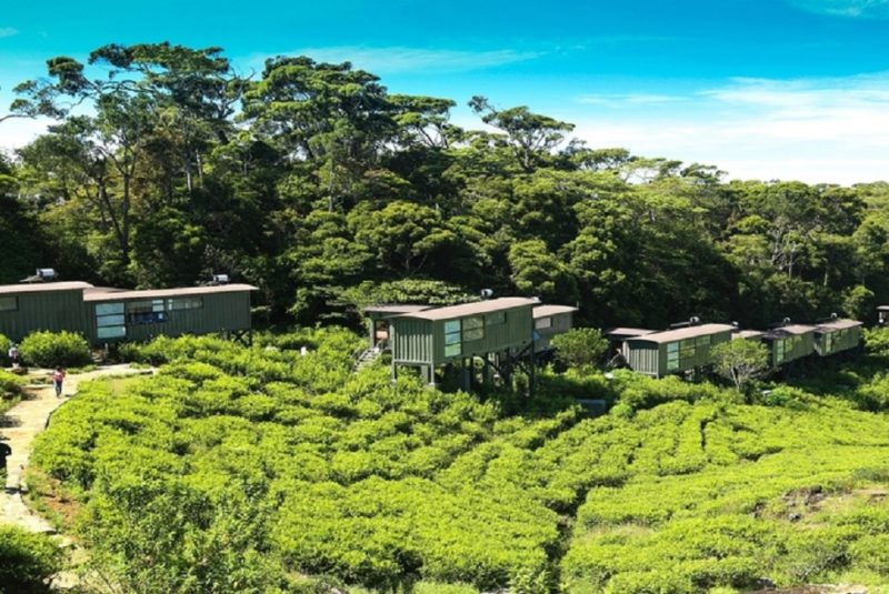 Containers de l'hotel Rainforest à Sinharaja - Sri Lanka | Au Tigre Vanillé