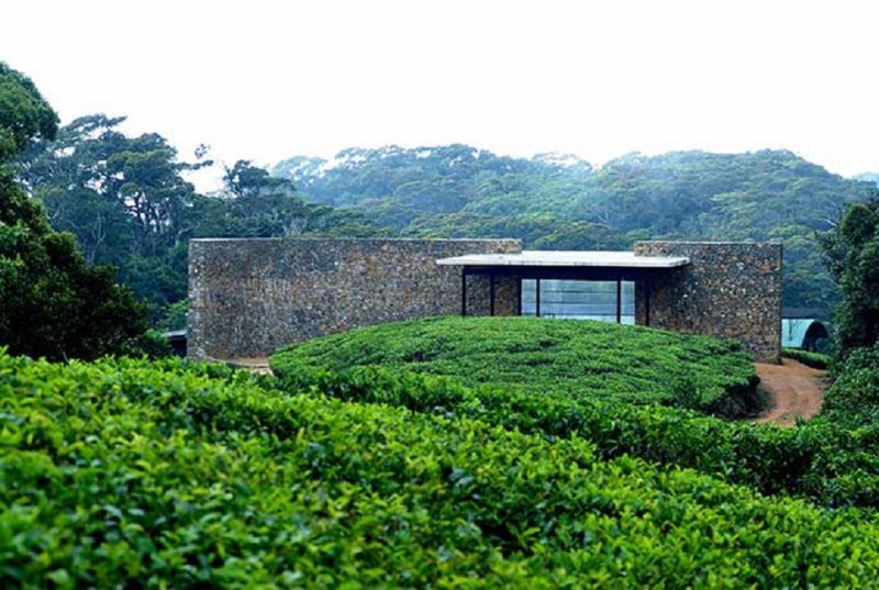 Façade et plantations de thé de l'hotel Rainforest à Sinharaja - Sri Lanka | Au Tigre Vanillé