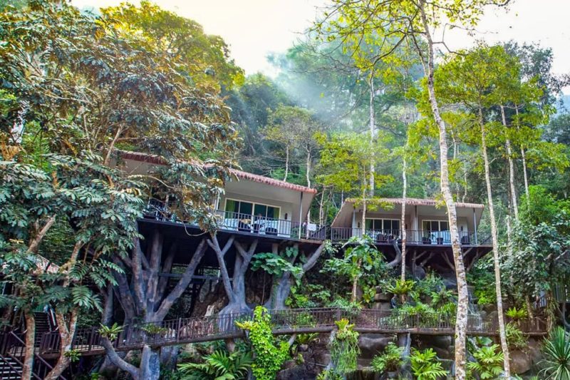 Villa suspendues dans les arbres de l'hotel Rock Tree à Khao Sok - Thaïlande | Au Tigre Vanillé