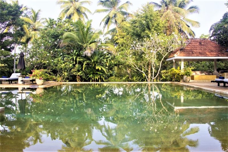 Piscine de l'hotel Why House à Galle - Sri Lanka | Au Tigre Vanillé