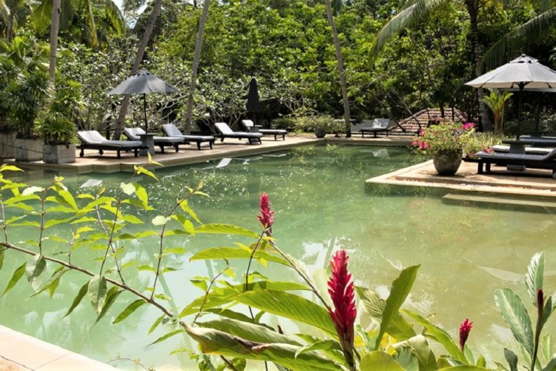 Transats au bord de la piscine de l'hotel Why House à Galle - Sri Lanka | Au Tigre Vanillé
