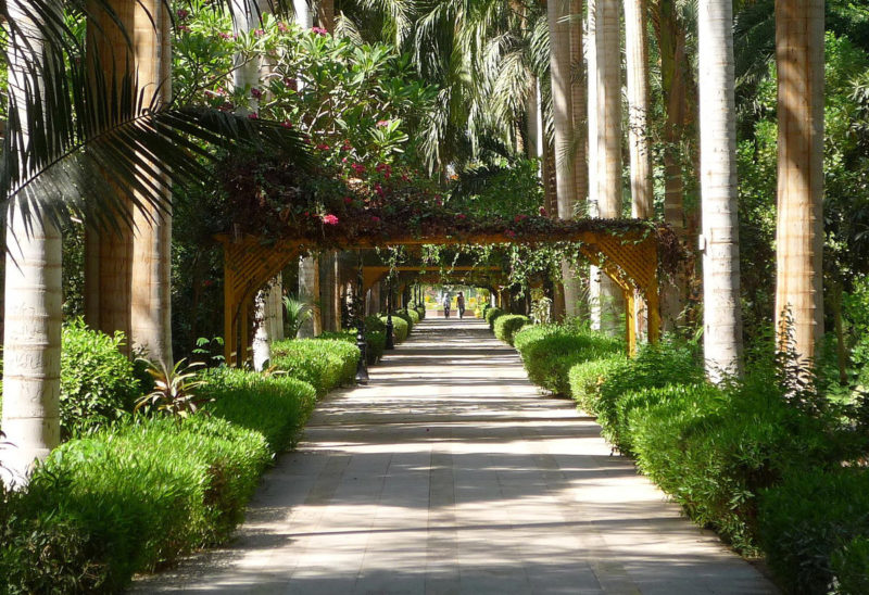 Jardin botanique Kitchener, Assouan, Egypte | Au Tigre Vanillé