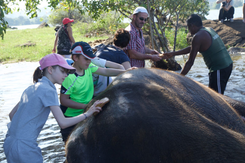 Sri Lanka, des enfants donnent le bain à un éléphant | Au Tigre Vanillé
