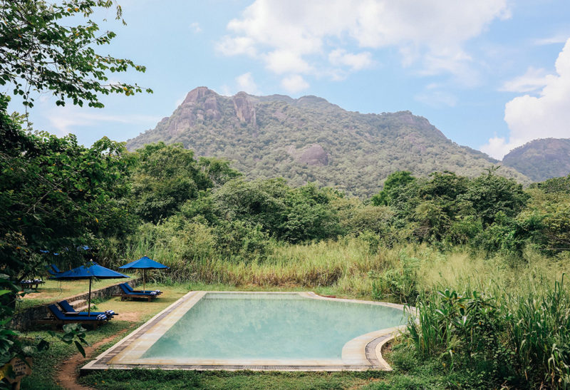 Sri Lanka, Gal Oya Lodge, Piscine et décors | Au Tigre Vanillé