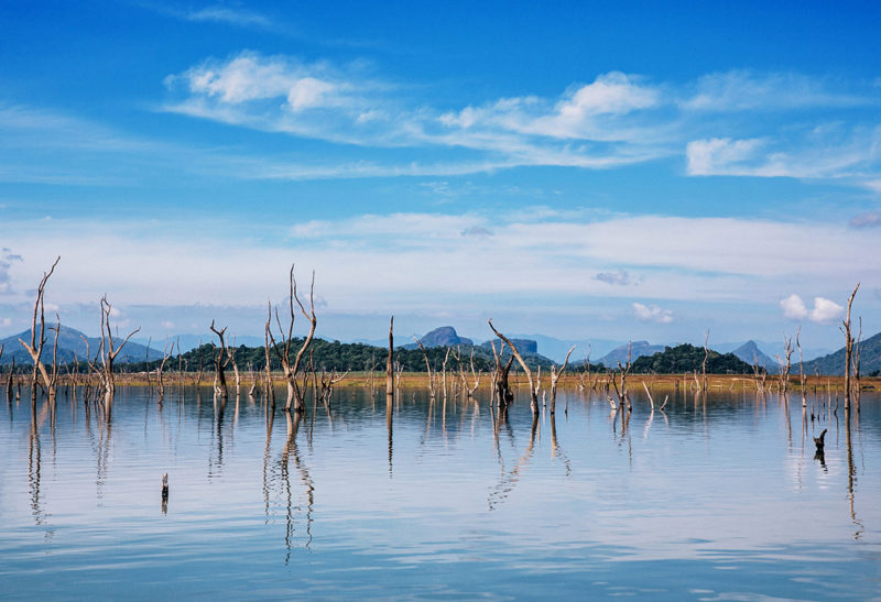 Sri Lanka, Parc Gal Oya, paysages lacustres | Au Tigre Vanillé