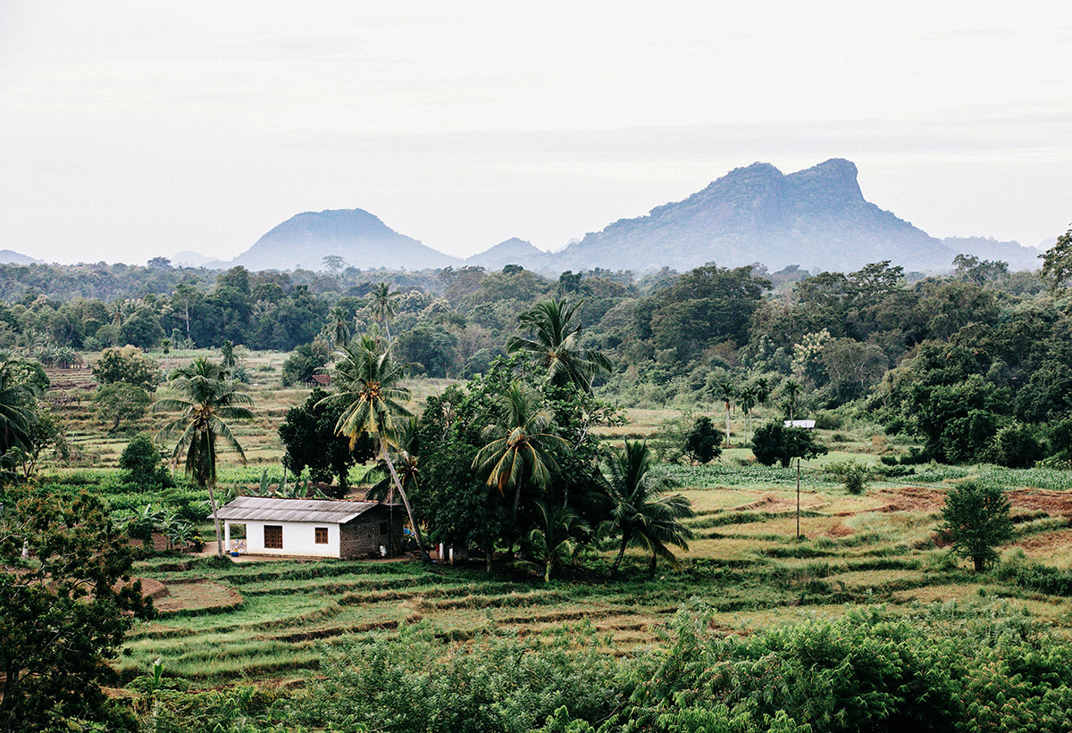 Sri Lanka, Parc Gal Oya, Paysags de jungle | Au Tigre Vanillé