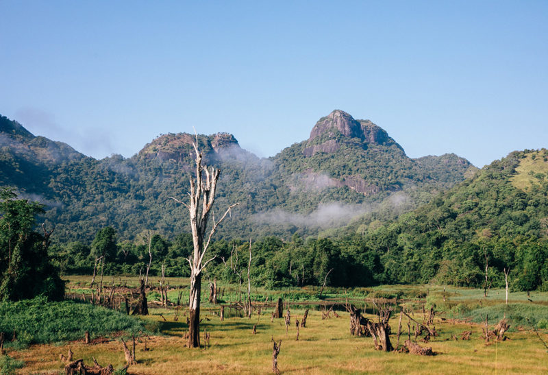 Sri Lanka, Parc Gal Oya, Montagnes et jungles | Au Tigre Vanillé