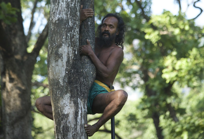 Sri Lanka, Parc Gal Oya, Un vedda sur un arbre | Au Tigre Vanillé