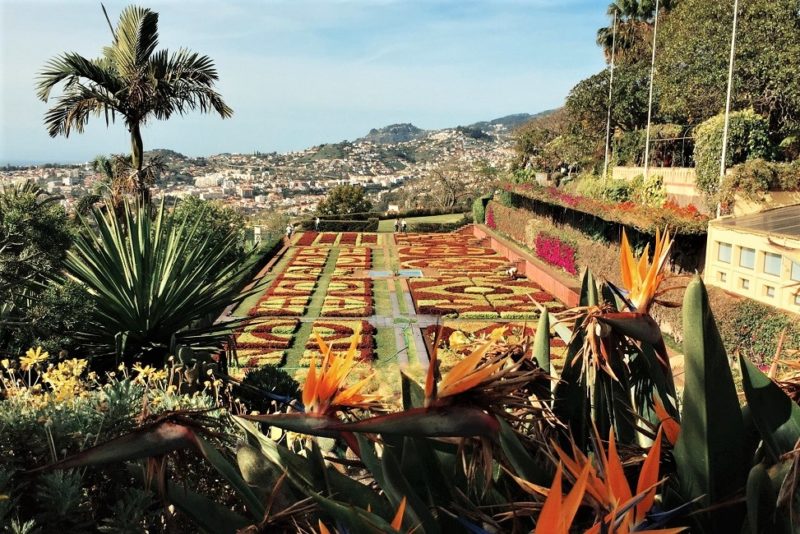 Jardin botanique de Funchal - Madère | Au Tigre Vanillé