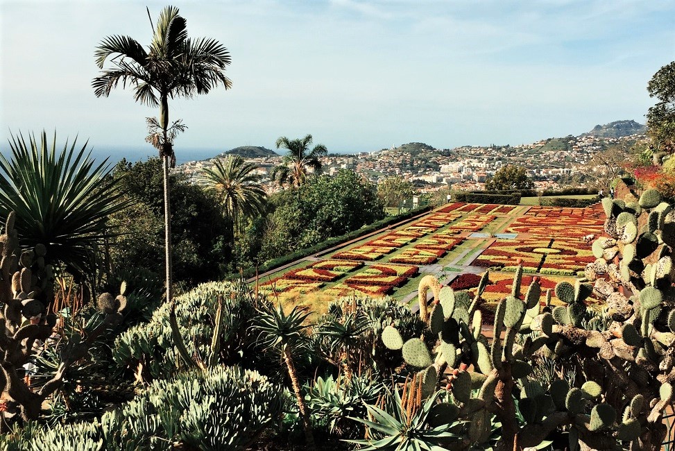 Jardin botanique de Funchal - Madère | Au Tigre Vanillé