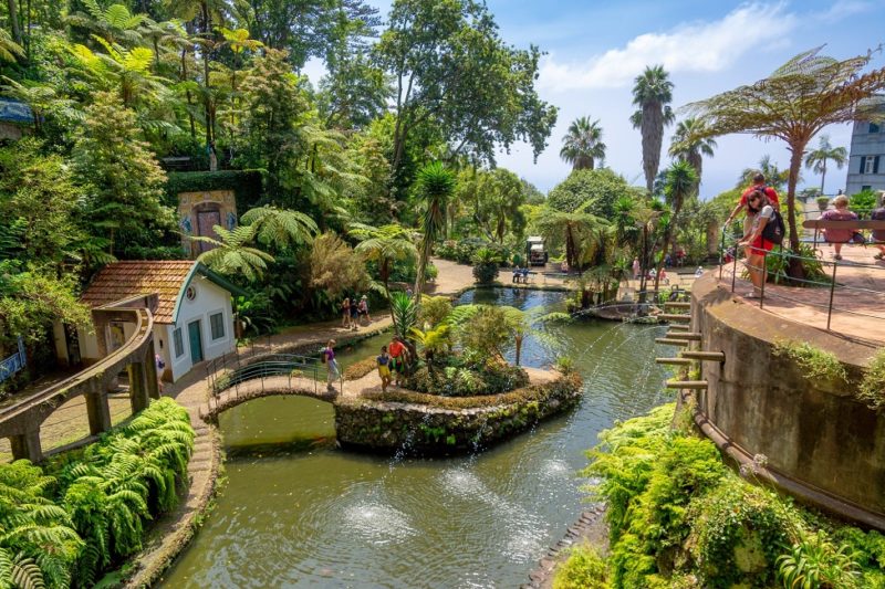 Jardin tropical du quartier Monte de Funchal - Madère | Au Tigre Vanillé