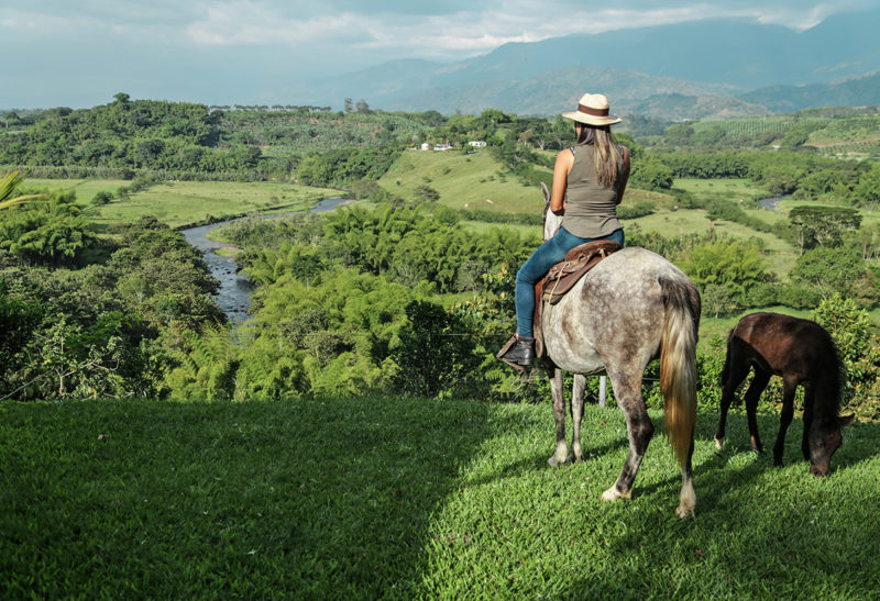 Randonnée à cheval à l'Hacienda Bambusa, Colombie | Au Tigre Vanillé