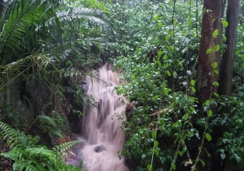 Cascade du plateau de Zomba - Malawi | Au Tigre Vanillé