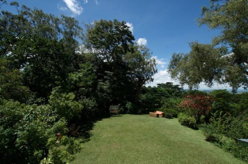 Jardin de l'hotel Zomba forest lodge - Malawi | Au Tigre Vanillé
