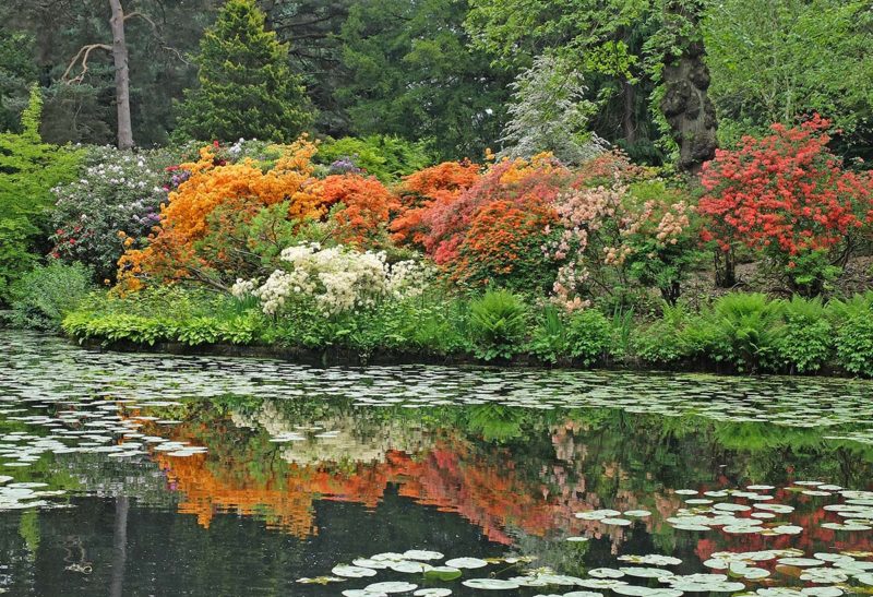 Angleterre, Jardins à Tatton Park | Au Tigre Vanillé