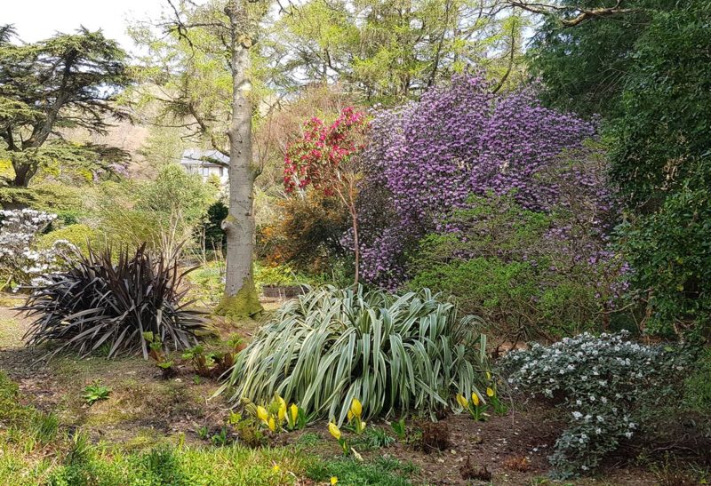 Arduaine,Gardens,West,Coast,Scotland