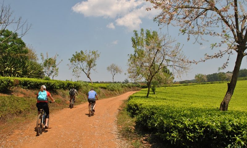 Famille à vélo sur des pistes - Malawi | Au Tigre Vanillé