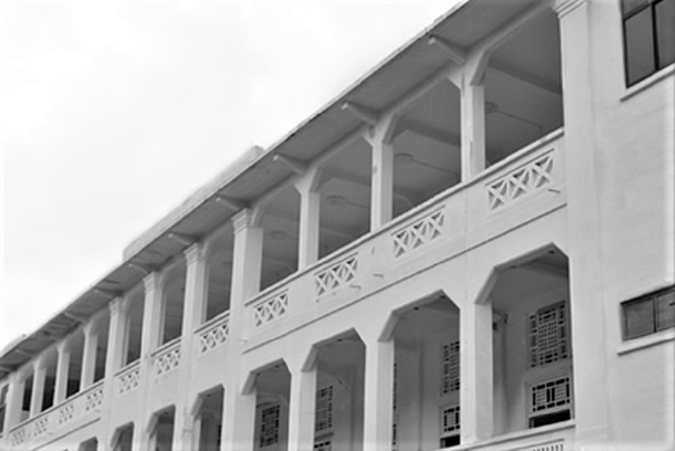 Musée Gillman - Singapour | Au Tigre Vanillé