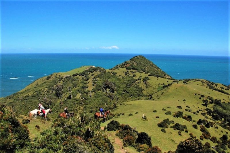 Randonnée à cheval dans le parc Cabalgata dans l'archipel des Chiloé - Chili | Au Tigre Vanillé