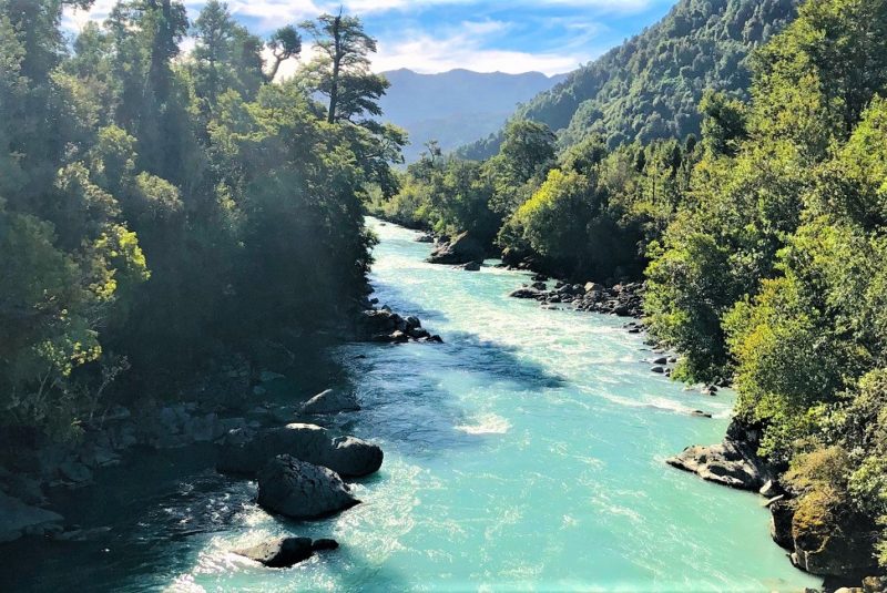Rivière turquoise qui traverse une forêt dans la région des lacs - Chili | Au Tigre Vanillé