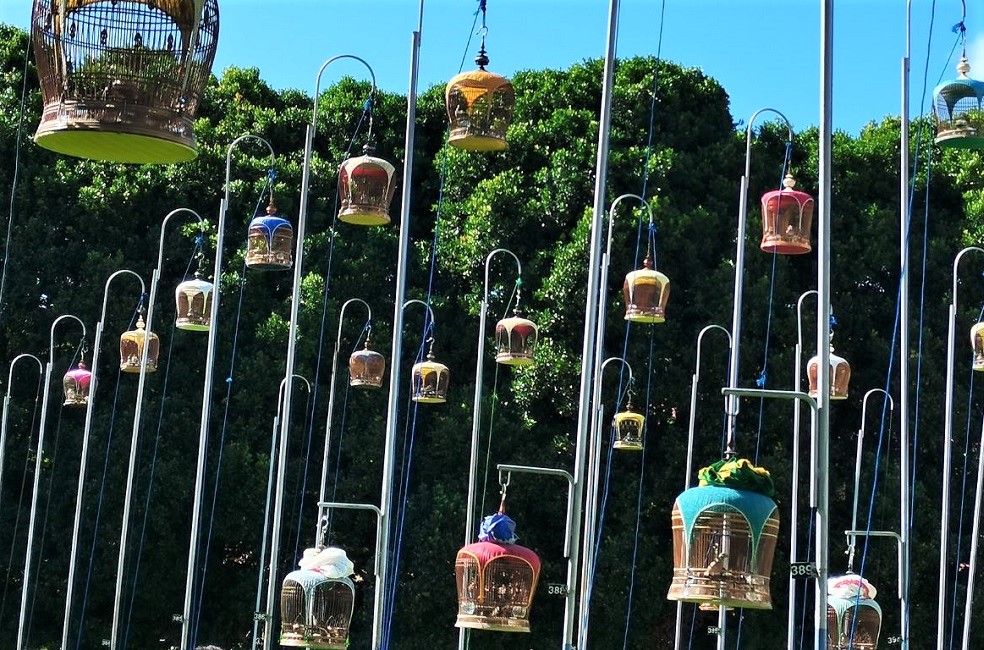 singapour-club-oiseau-chanteur Club des oiseaux chanteurs - Singapour | Au Tigre Vanillé