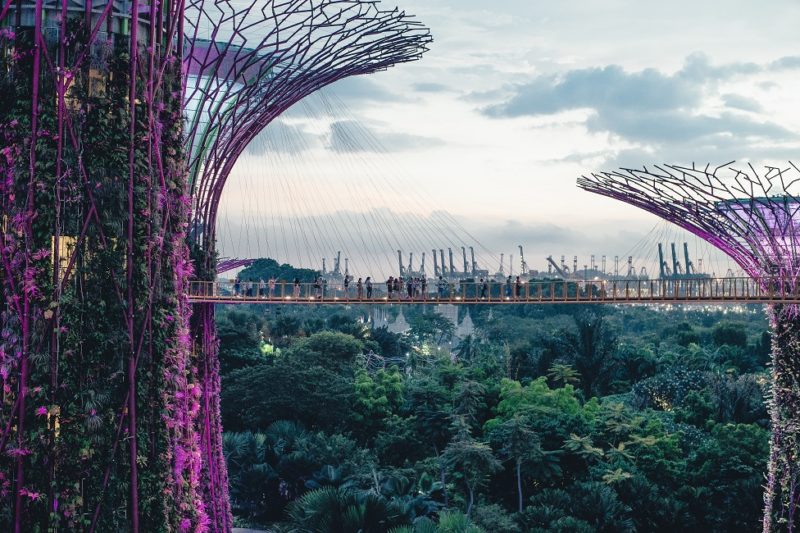 singapour-garden-bay-arbres-artificiel Passerelle du jardin futuriste de Garden by the Bay - Singapour | Au Tigre Vanillé