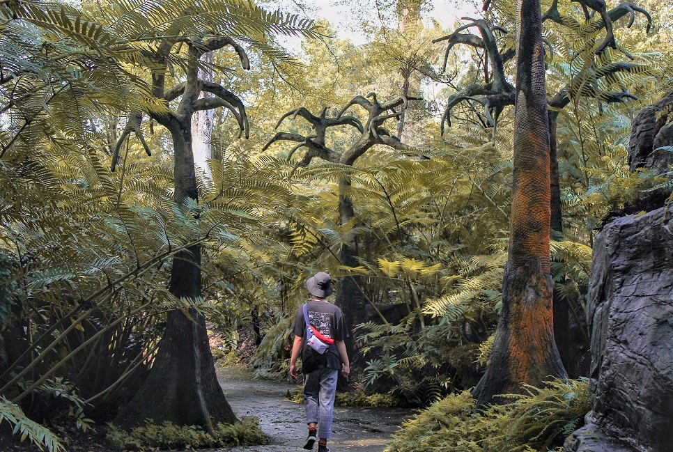 singapour-rail-corridor-randonnee-foret Balade sur l'ancien Rail Corridor - Singapour | Au Tigre Vanillé