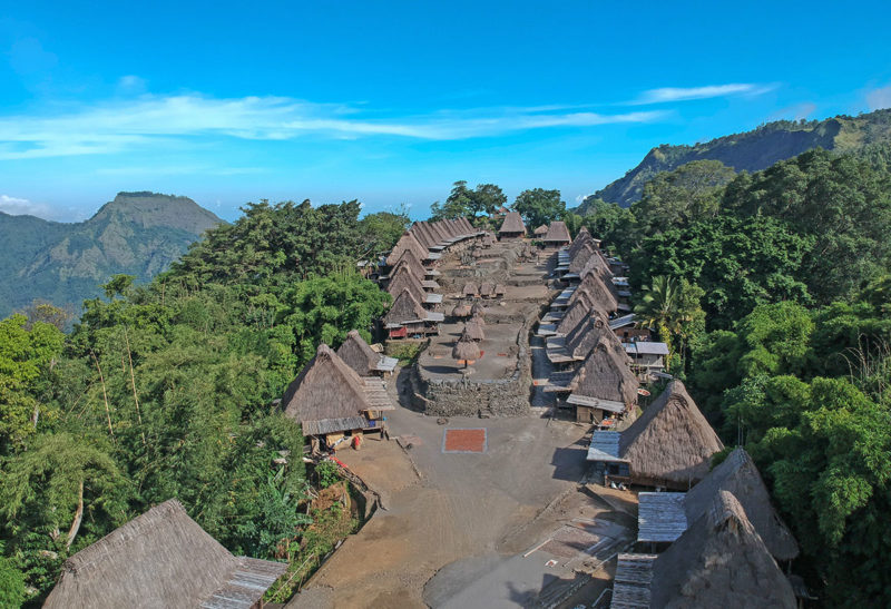 Maisons traditionnelles à Florès en Indonésie