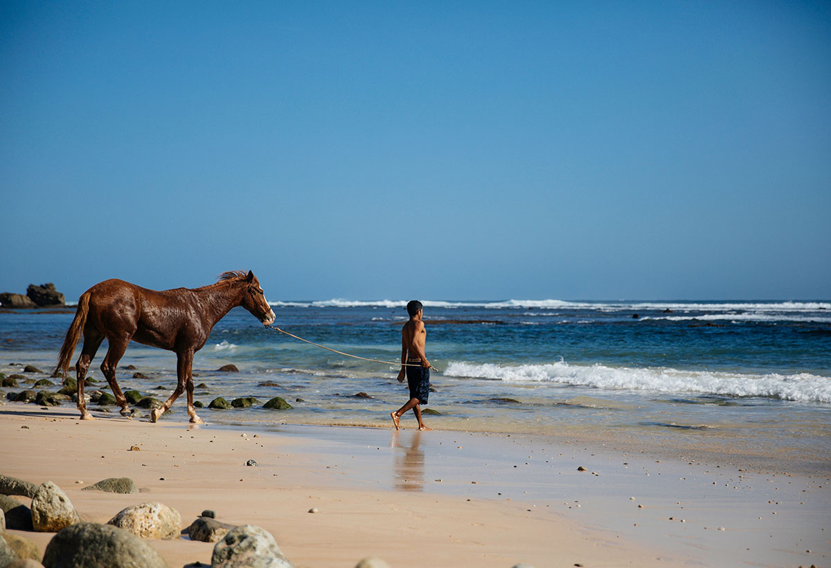 Nager avec les chevaux au NIHI Sumba, en Indonésie | Au Tigre Vanillé