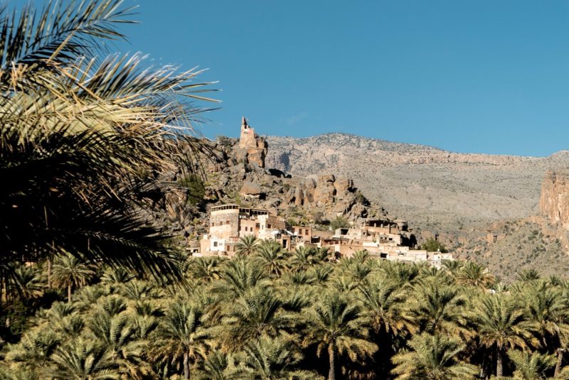 oman-village-montagne-palmier