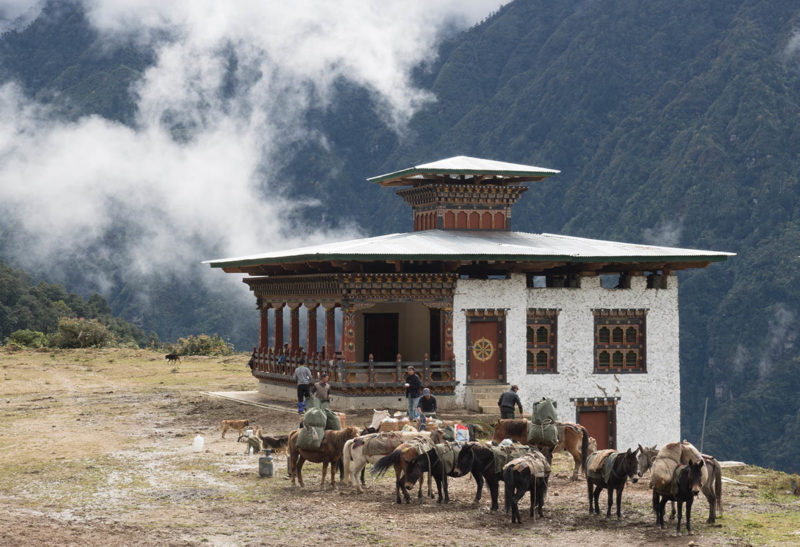 Bhoutan, une maison devant laquelle des ânes et chevaux chargés