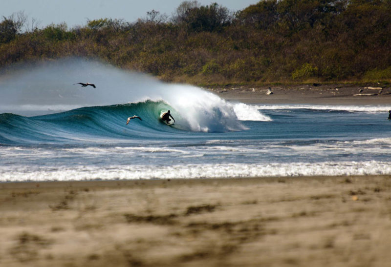 Costa Rica, un surfeur sur une grosse vague