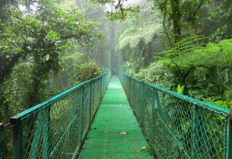 Costa Rica, un pont suspendu traverse la végétation