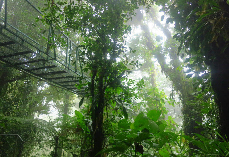 Costa Rica, un pont suspendu traverse la végétation