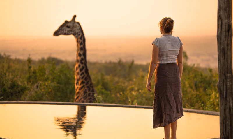 Une femme regarde une girafe en face d'une piscine