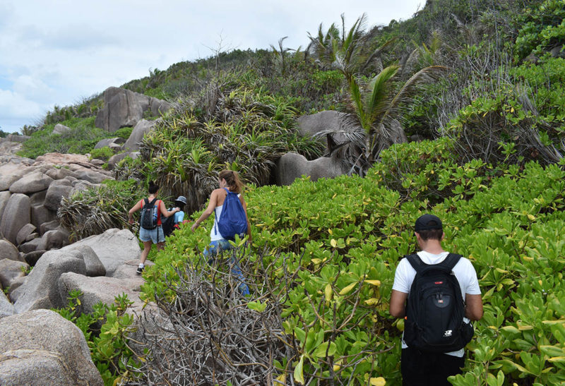 Seychelles, La Digue, des randonneurs dans la végétation