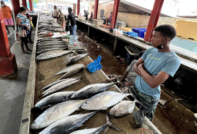 Seychelles, Mahé, le marcher de l'île et ses poissoniers